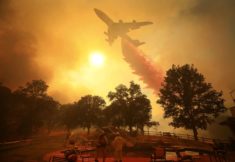 Boeing 747 firefighting, California, August 2018 – Most Beautiful Picture